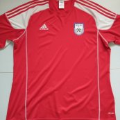 Away football shirt 2013 - 2014