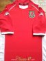 Wales Home football shirt 2002 - 2004