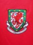 Wales Home football shirt 2002 - 2004