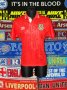 Wales Home football shirt 1990 - 1994