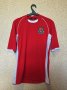 Wales Home football shirt 2002 - 2004