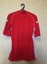 Wales Home football shirt 2002 - 2004