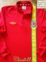 Wales Home football shirt 2012 - 2013