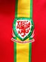 Wales Home football shirt 2012 - 2013