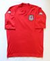 Wales Home Fußball-Trikots 2002 - 2003