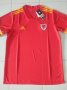 Wales Home football shirt 2020 - 2022