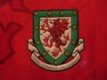 Wales Home football shirt 1990 - 1994