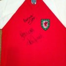 Retro Replicas football shirt 1980 - 1984