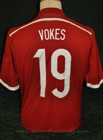 Wales Home football shirt 2013 - 2014