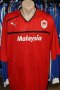 Cardiff City Home football shirt 2012 - 2013