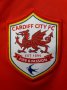 Cardiff City Home football shirt 2012 - 2013