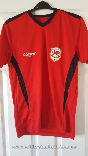 Cardiff City Training/Leisure football shirt 2014