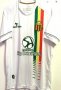Sampaio Correa FC Away football shirt 2014 - 2015