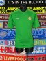 Northern Ireland Training/Leisure football shirt 2004 - 2008