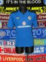 Northern Ireland Training/Leisure football shirt 2004 - 2008