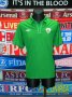 Republic of Ireland Training/Leisure football shirt 1996 - 2016