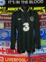 Republic of Ireland Away football shirt 2013 - 2014