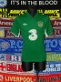 Republic of Ireland Home football shirt 2012 - 2014