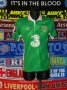 Republic of Ireland Home football shirt 2016 - 2018