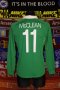 Republic of Ireland Home football shirt 2014 - 2015