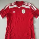 Home football shirt 2015 - 2017
