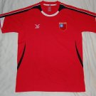 Home football shirt 2010 - 2011