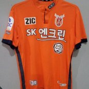Home football shirt 2014 - 2015