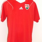 Home football shirt 2011 - 2012
