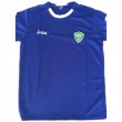 Away football shirt 2015 - 2016