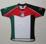 Palestine Home football shirt 2002 - 2003