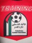 Palestine Home football shirt 2002 - 2003
