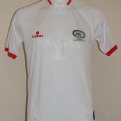 Away football shirt 2015 - 2016