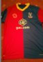 Crystal Palace Home football shirt 2013 - 2014
