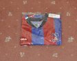 Crystal Palace Home football shirt 2004 - 2005
