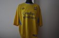 Crystal Palace Special football shirt 2003 - 2004