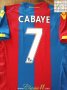 Crystal Palace Home football shirt 2015 - 2016