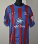 Crystal Palace Home football shirt 2010 - 2011