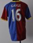 Crystal Palace Home football shirt 2013 - 2014