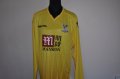 Crystal Palace Goalkeeper football shirt 2015 - 2016