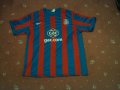 Crystal Palace Home football shirt 2010 - 2011