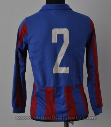 Crystal Palace Womens Teams football shirt 2010 - 2011