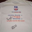 Training/Leisure football shirt 2002