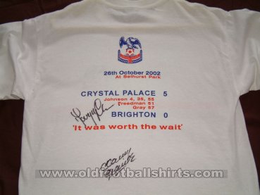 Crystal Palace Training/Leisure football shirt 2002