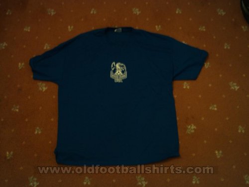 Crystal Palace Training/Leisure football shirt (unknown year)