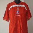 Training/Leisure football shirt 2008 - 2009