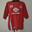 Training/Leisure football shirt 2004 - 2005