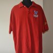 Training/Leisure football shirt 2013 - 2014