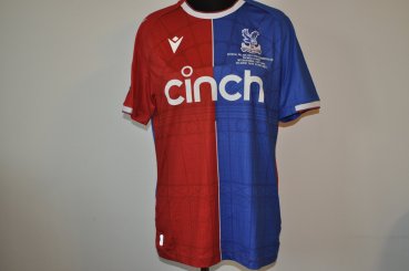 Crystal Palace Cup Shirt football shirt 2023 - 2024