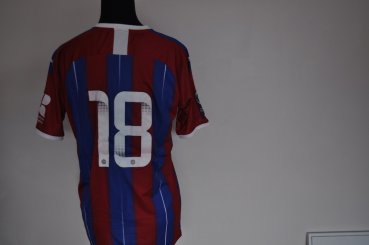 Crystal Palace Damlag fotbollströja 2019 - 2020