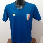 Home football shirt 2019